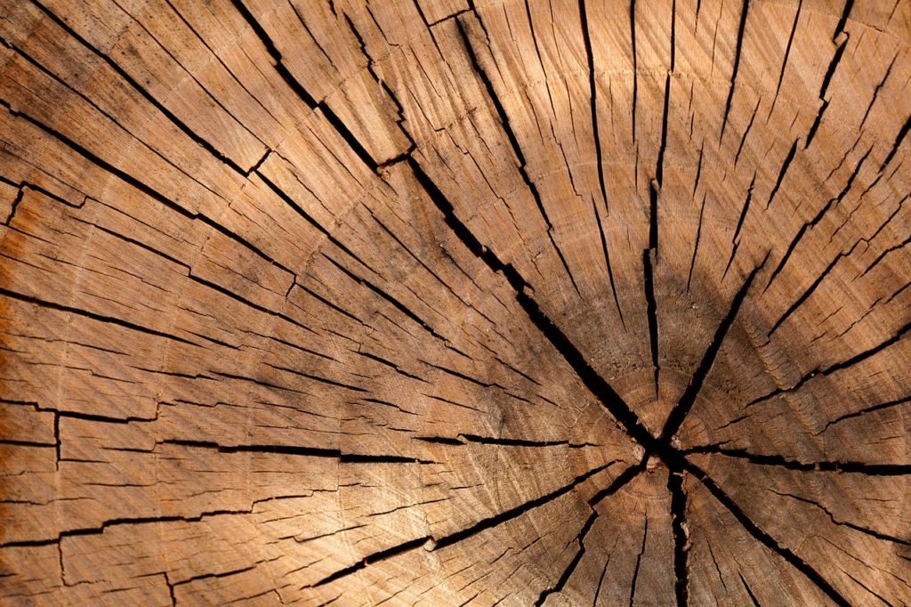 Lumber Futures Explained (LB) Contract Specifications, Facts